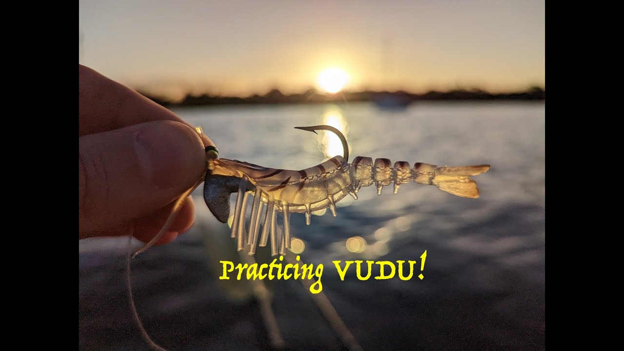 Practicing VUDU (shrimp) & Finding Beached Beach Monsters! #fishing