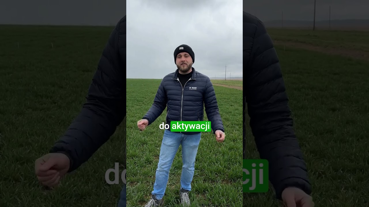 Jak ogarnąć regulację wzrostu zb&oacute;ż? Wybierz Medax&reg; Max! #basfagro #basf #medaxmax