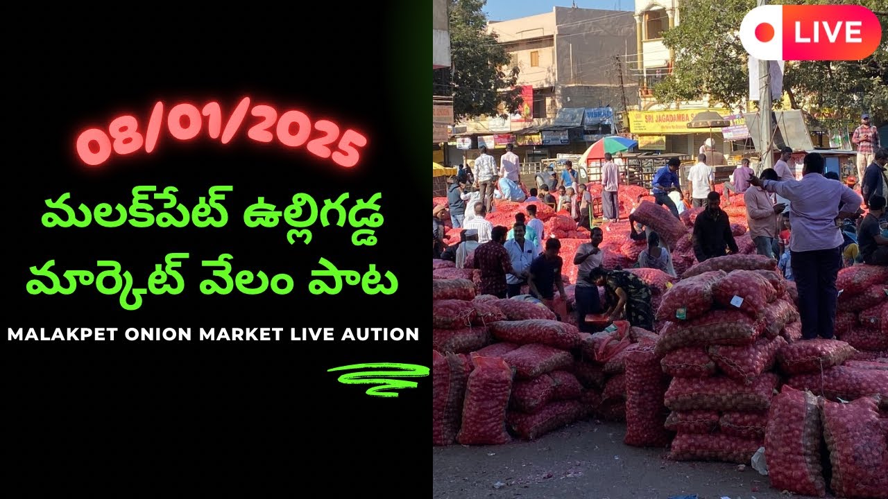08/01/2025 onion wholesale market in hyderabad | malakpet market onion rate today 