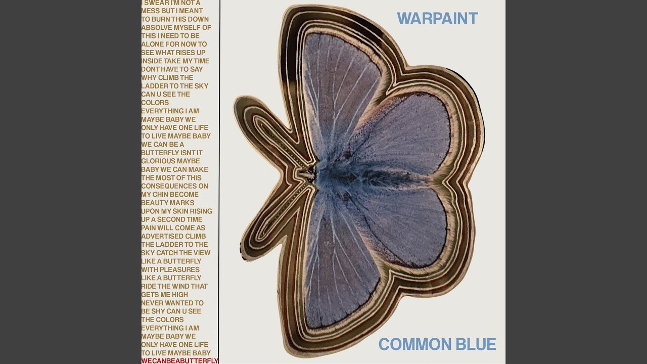 Common Blue