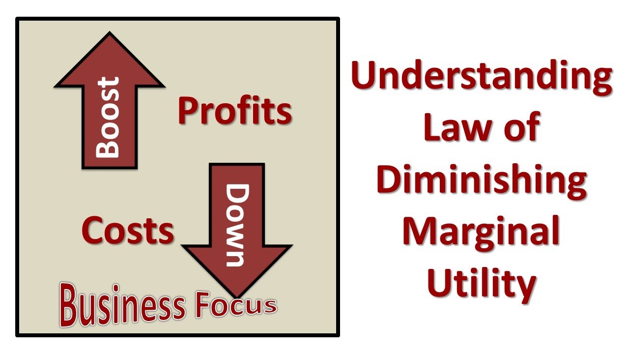 Understanding Law of Diminishing Marginal Utility
