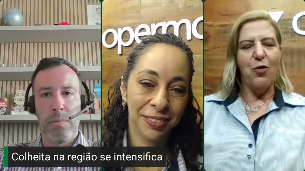 Panorama de Mercado - 14 de fevereiro