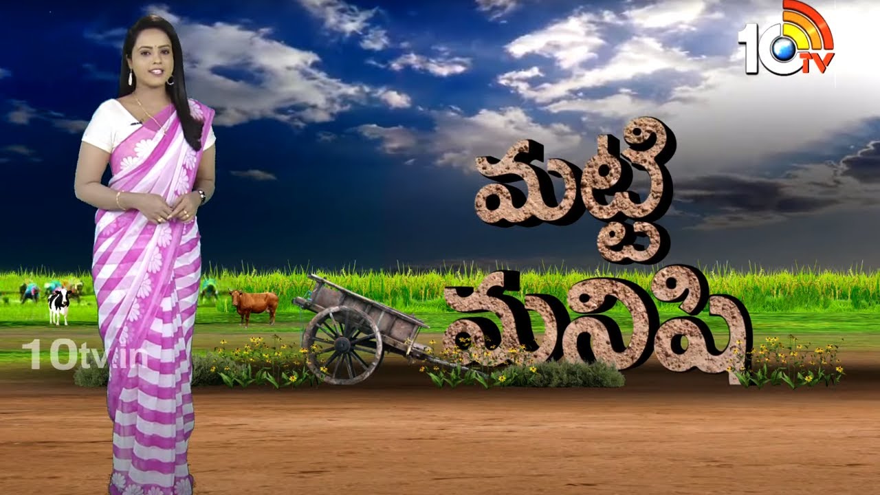 Matti Manishi Full Episode | 11-05-2021 | 10TV News