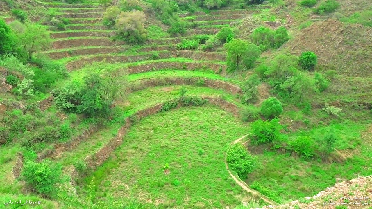 جبل صماد بلغازي ٢٣ اغسطس ٢٠١٩  مرتفعات جيزان