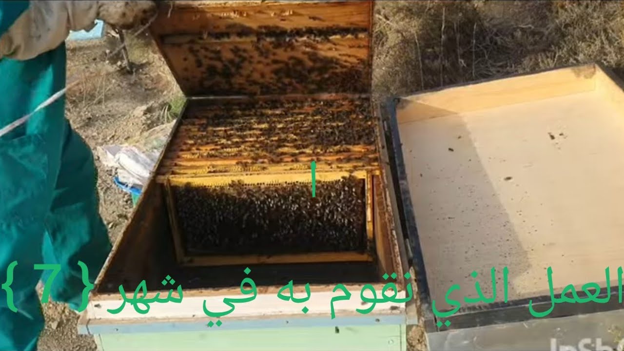 ماذا يجب علينا قيام به في شهر (7 )