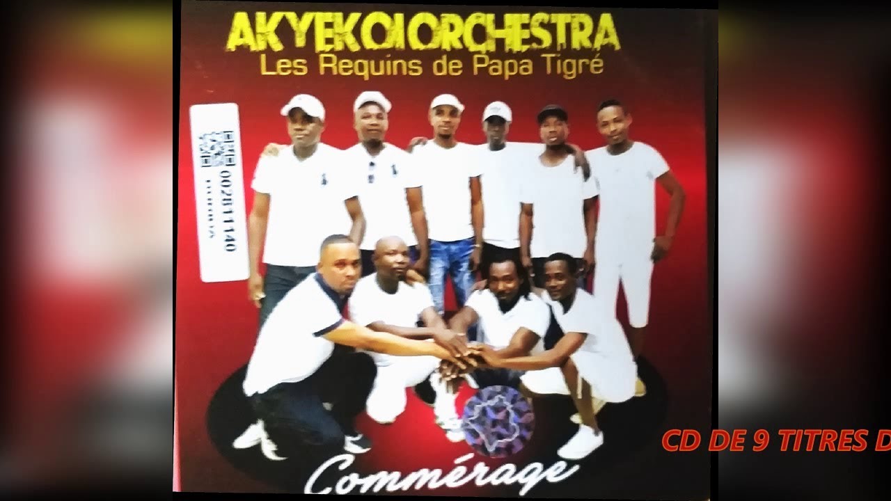 AKYEKOI ORCHESTRA - TIGR&Eacute; LA JOIE