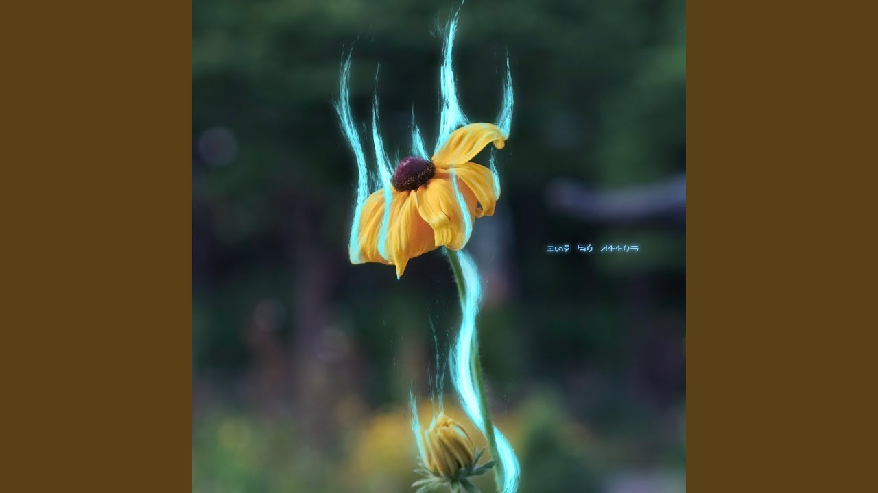 How It Feels