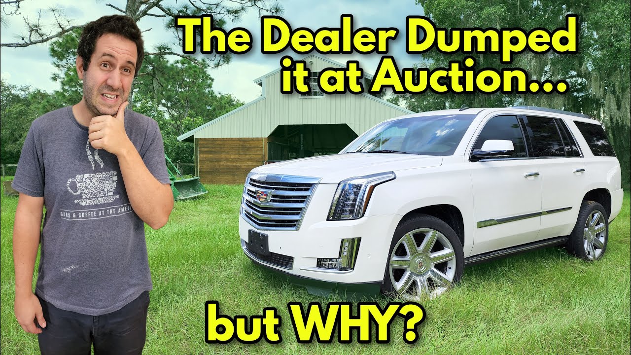 I Bought an 