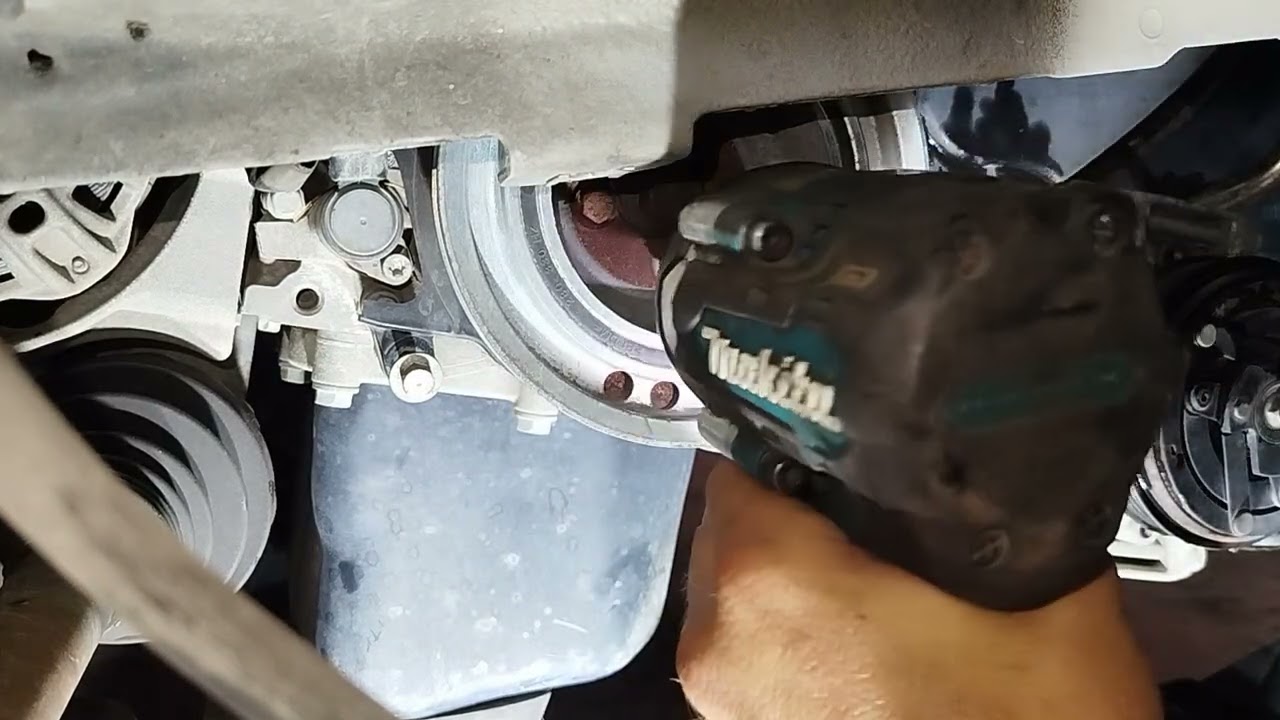 Correa distribución Fiat Ducato 2.3 