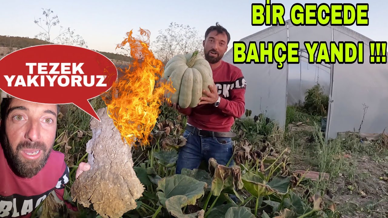 BİR GECEDE HER ŞEY BİTTİ~AYAZ YAKTI~TEZEK YAKIYORUZ~TURŞU YAPIMI~KABAK