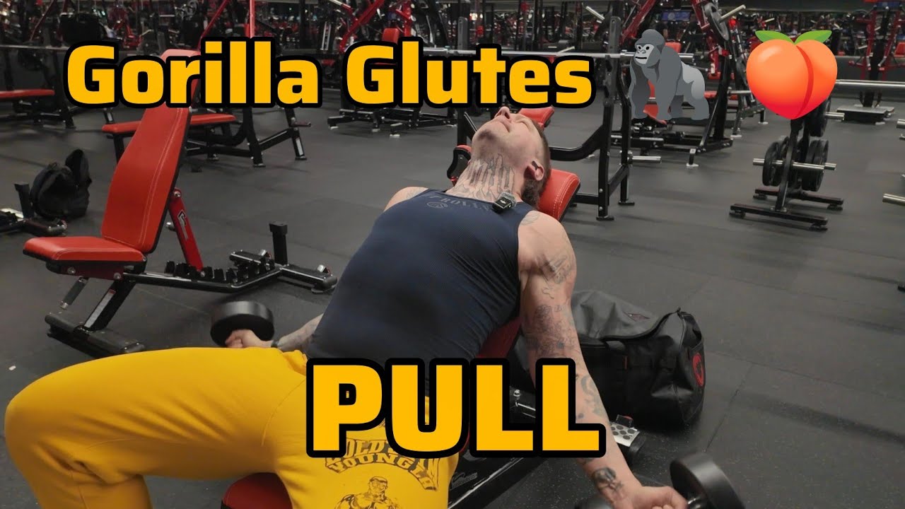 Gorilla Glutes 🦍 🍑 - PULL