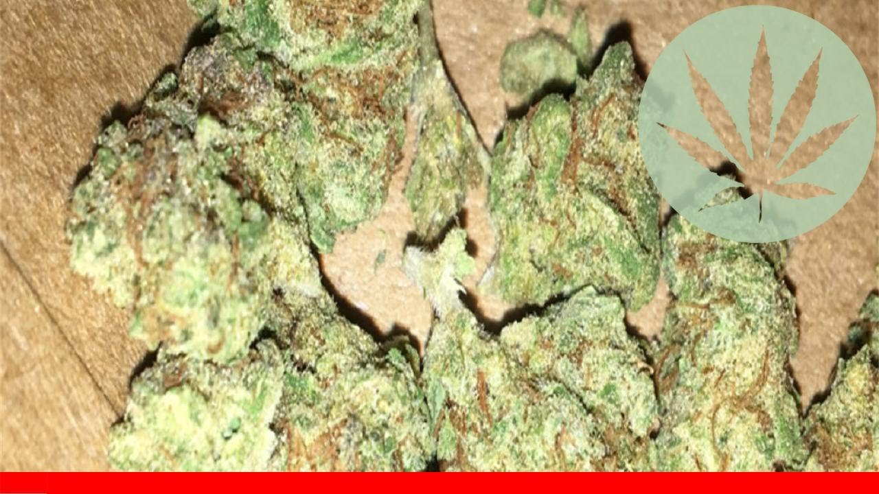 Pineapple Chunk - All About This Strain