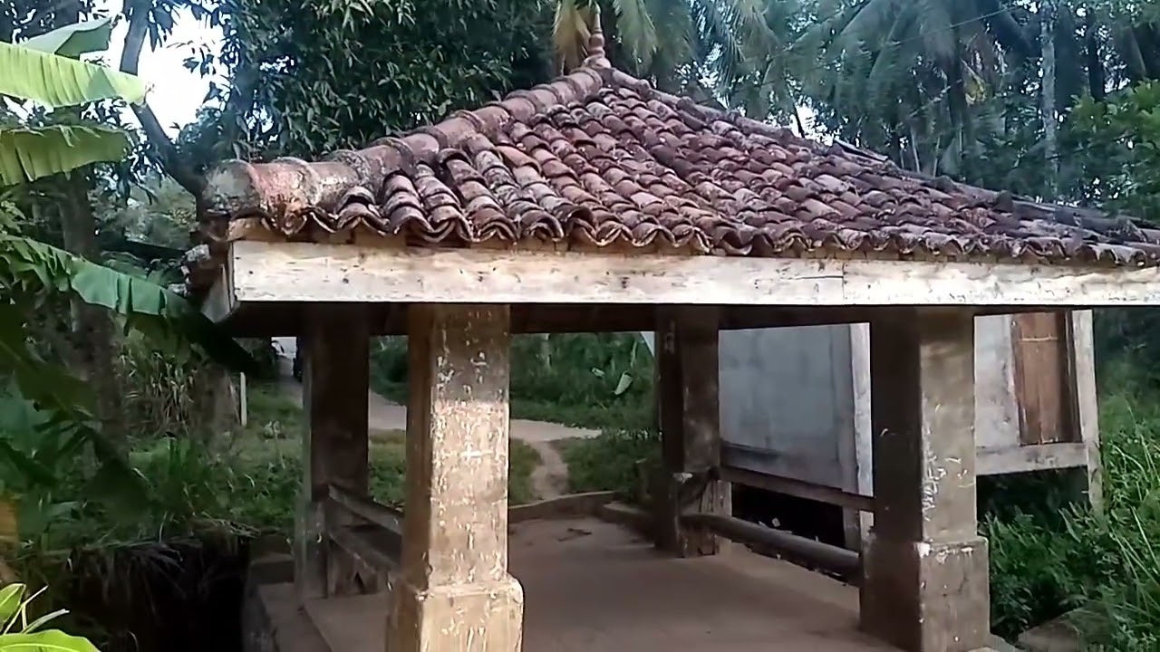 හිරු උදාව ගමේ වෙල්‍ යායේ සිට ♥️🔥🌞