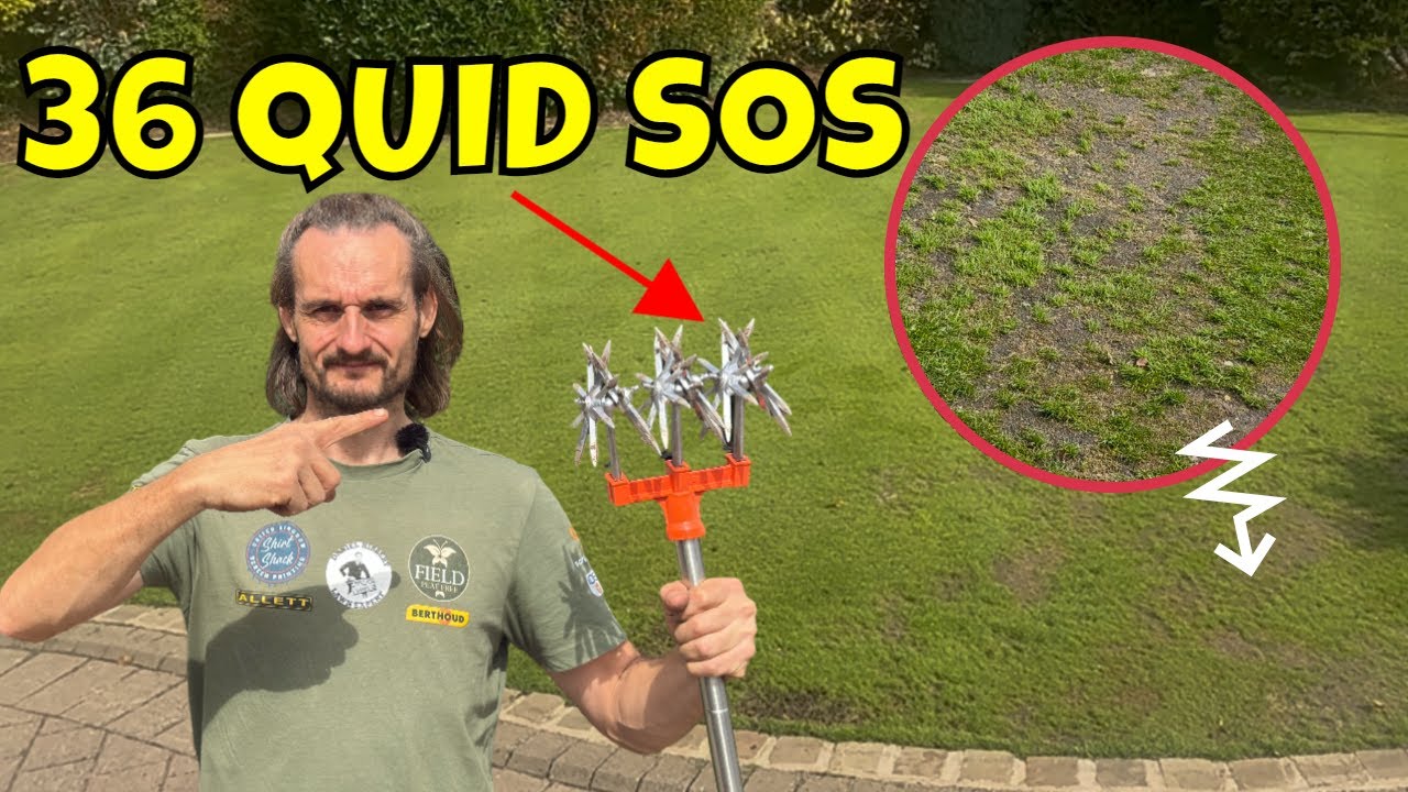 Golf Green LAWN RESCUE: The £36 Amazon Solution.