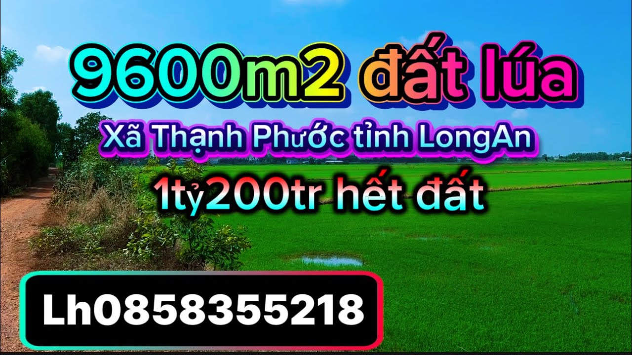 9600m2 xã Thạnh Phước tỉnh LongAn can chuyển nhượng lại 1tỷ200tr hết đất lh0858355218