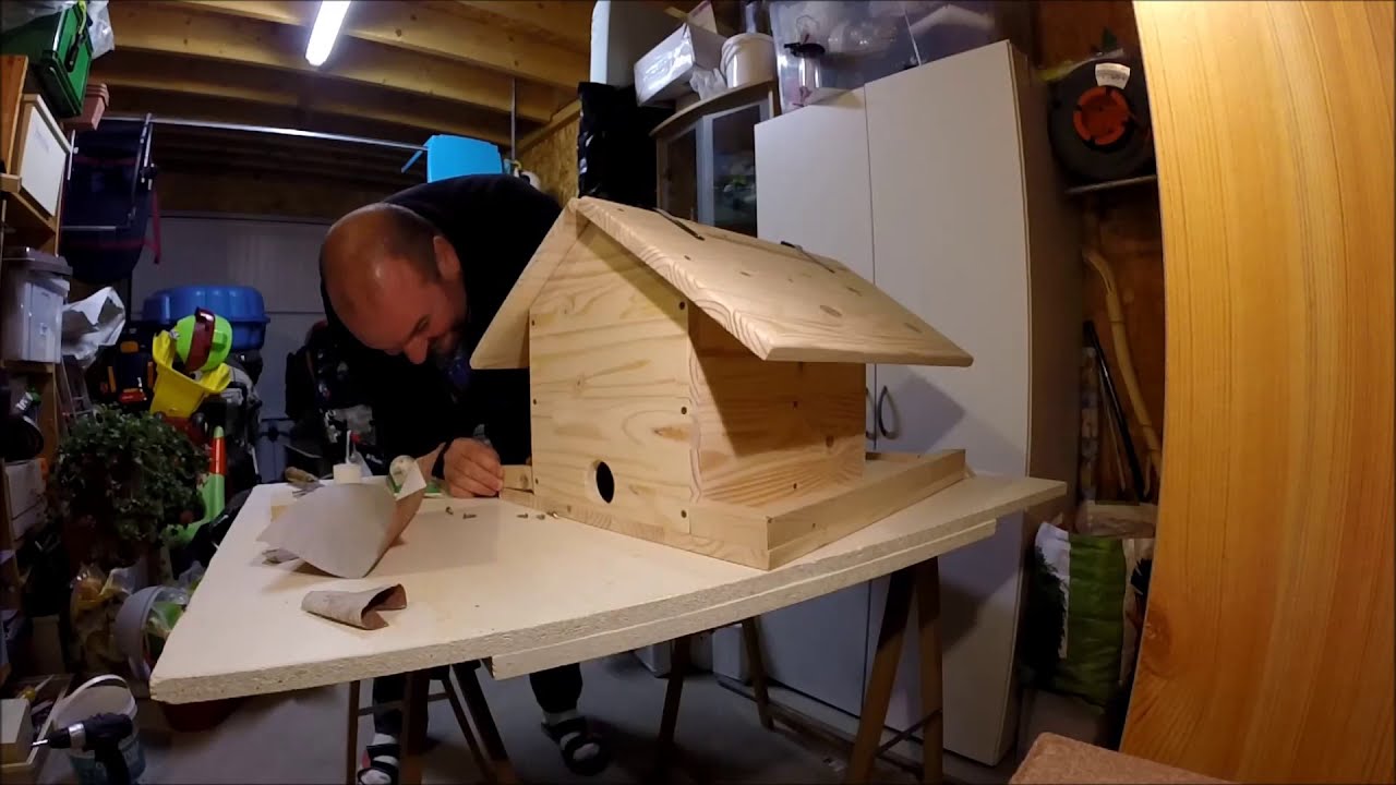 Construction cabane oiseaux