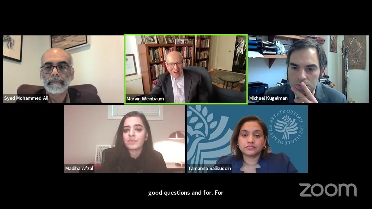 Elections: free, fair, conclusive? Panel discussion on Pakistan's upcoming election