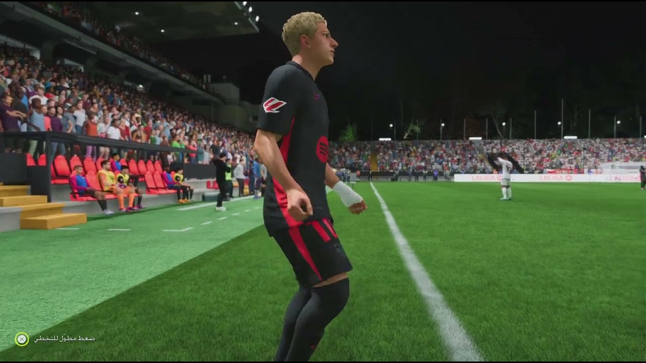 مهنة لاعب ٣