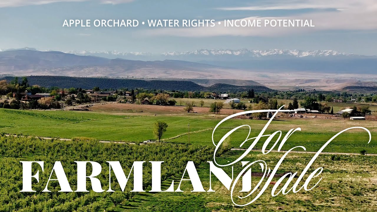 Apple Orchard for Sale in Colorado | 40 Acres of Irrigated Farmland with Water Rights + Farmhouse