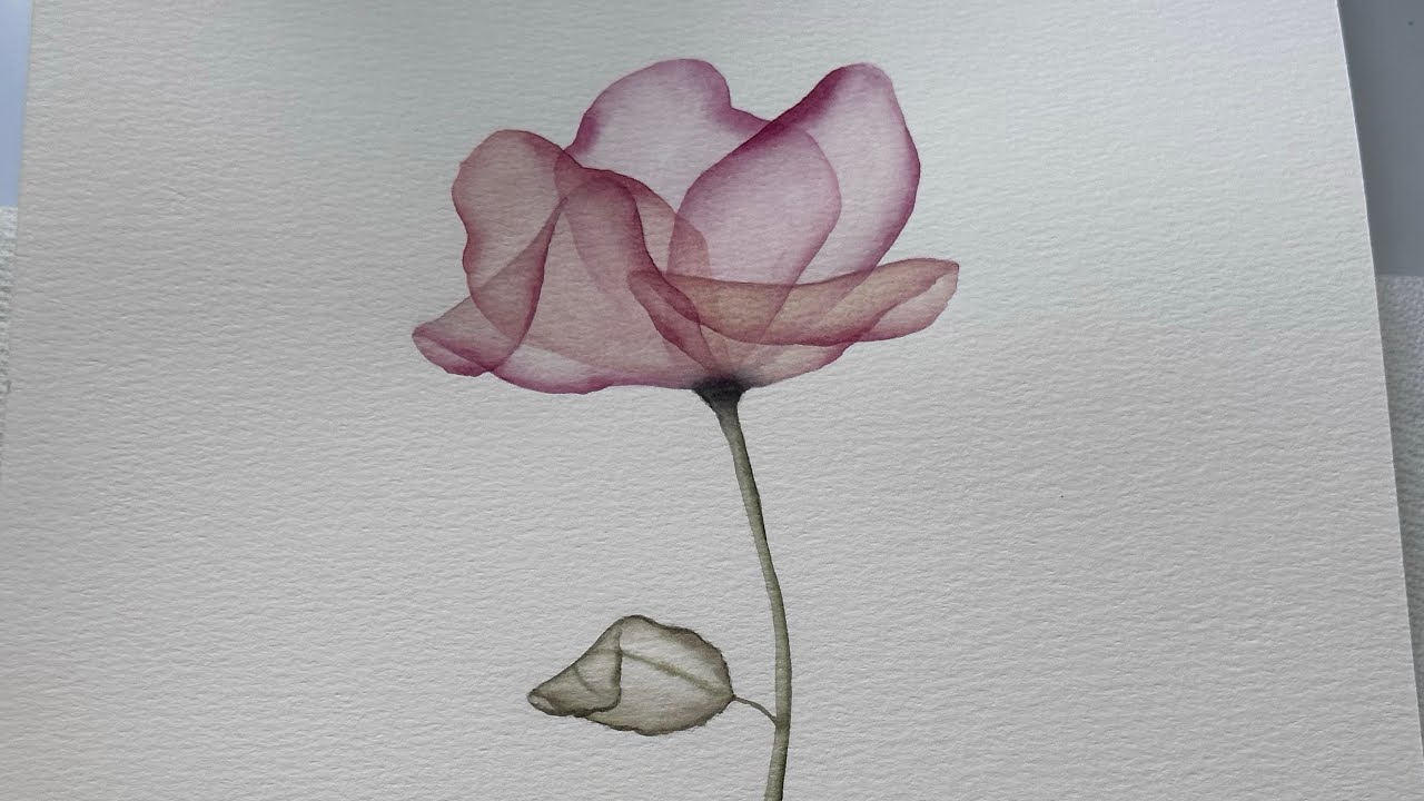 Plain to fancy! Use these tips to take your transparent flower to the next level #watercolor 