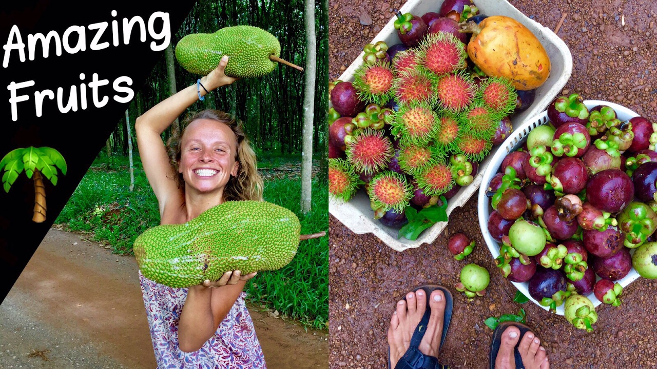 Living at a THAI FRUIT FARM