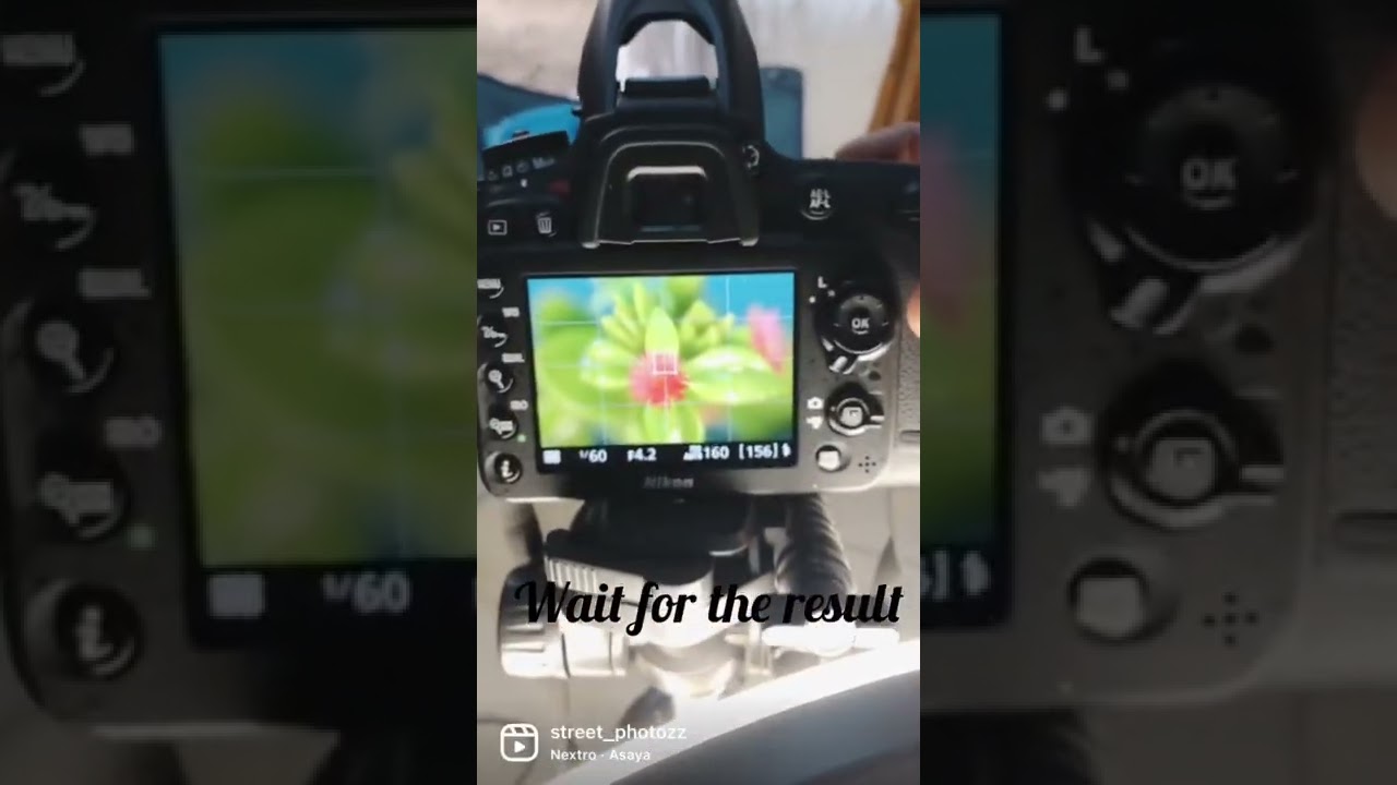 sigma 105 2.8 macro lens and Nikon d7100