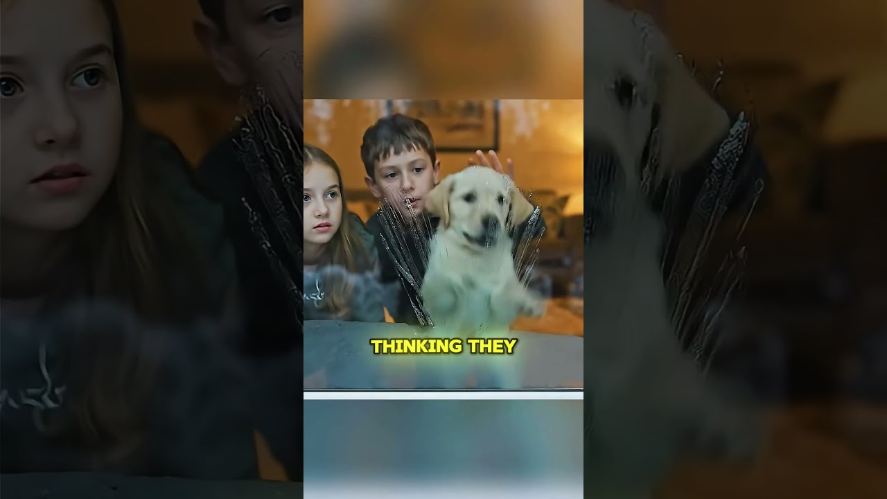 Бессердечное предательство... Пока не вмешался герой! 💔