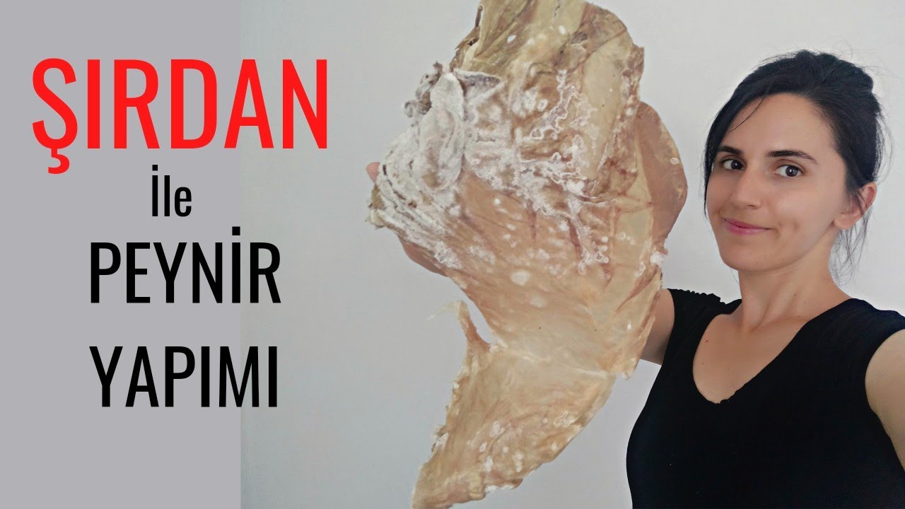 Şırdan (Şirden) İle Organik Peynir Yapımı  | Evde Peynir Yapımı