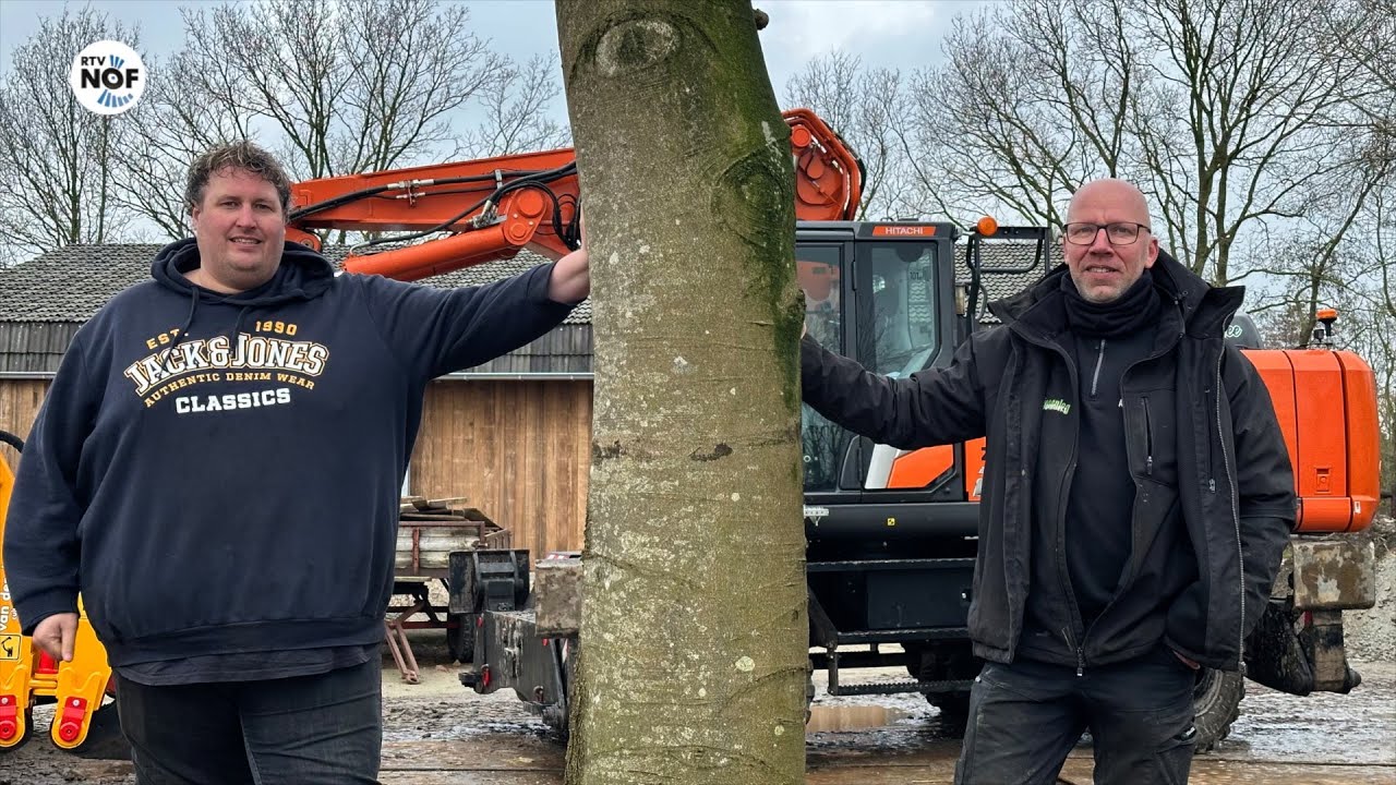 Monumentale beuk in Jistrum verplaatst met grootste plantmachine ter wereld: 