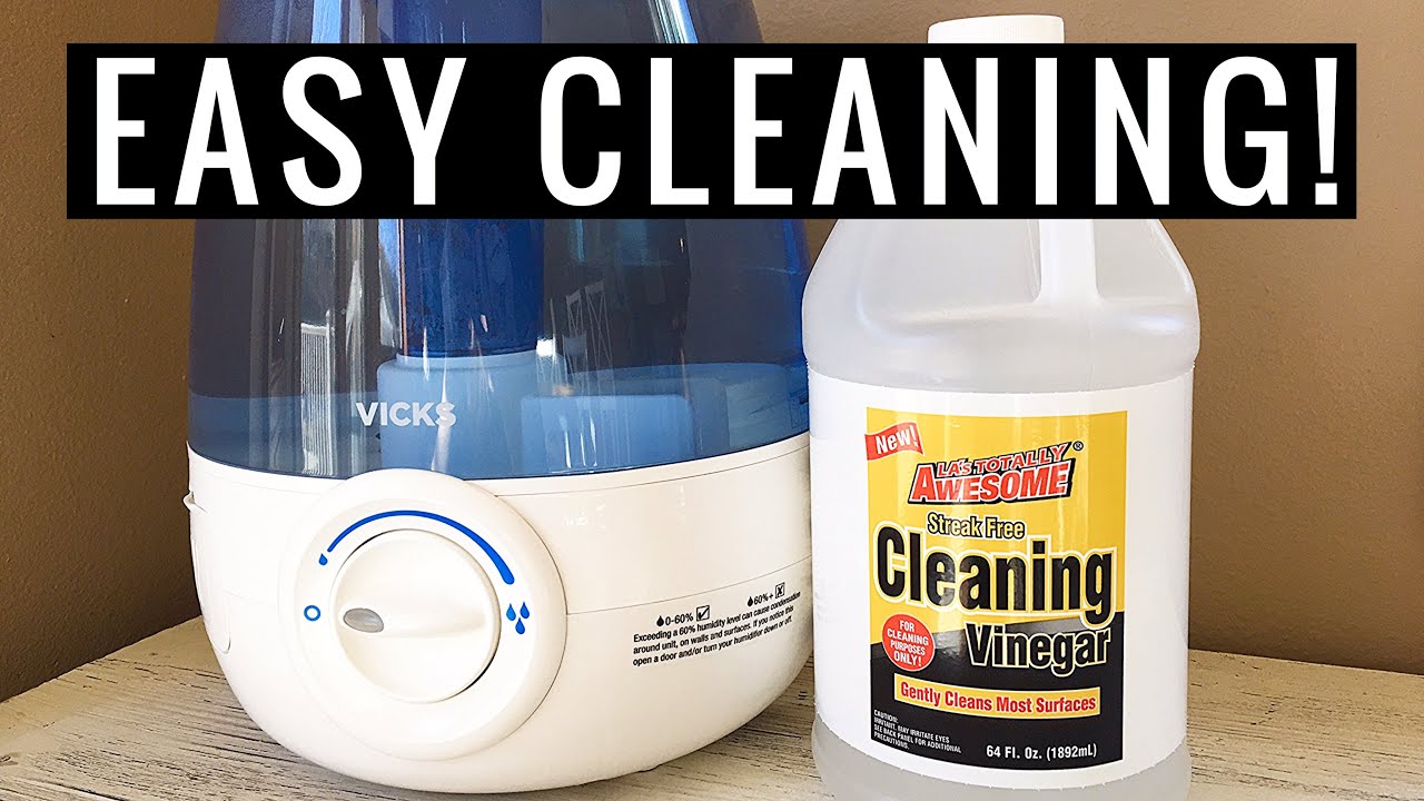 How to Clean a HUMIDIFIER NATURALLY With Vinegar | Andrea Jean