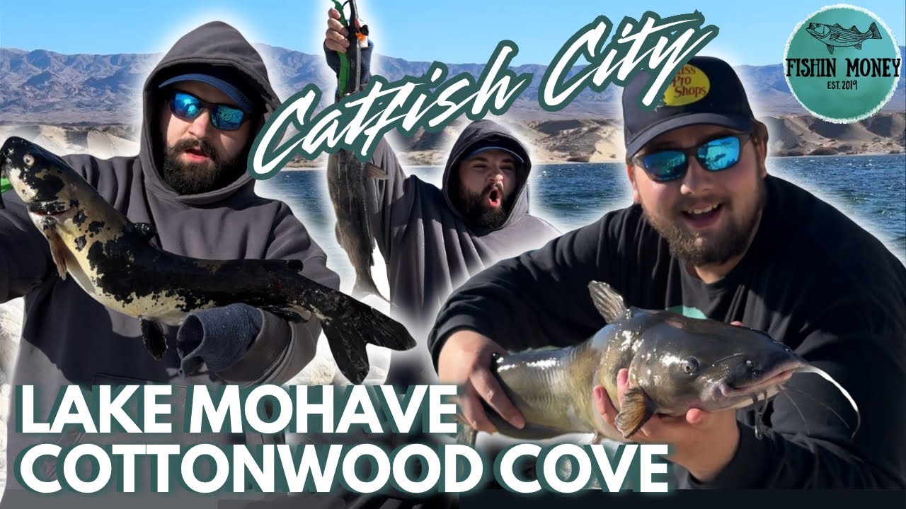 Shore Fishing at Lake Mohave: Catching Monsters at Cottonwood Cove!