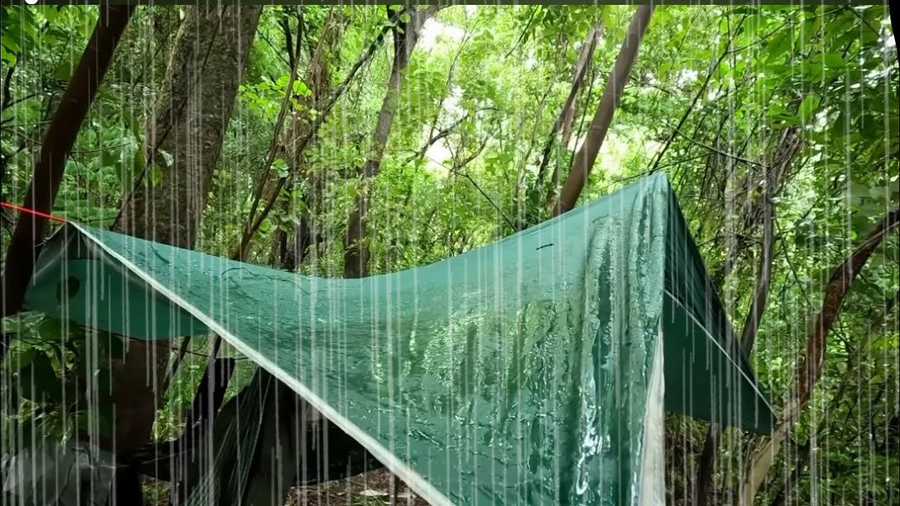 นอนป่าดิบชื้น ฝนถล่มหนัก ผูกเปล ทำอาหาร ฟังเสียงฝน สบาย