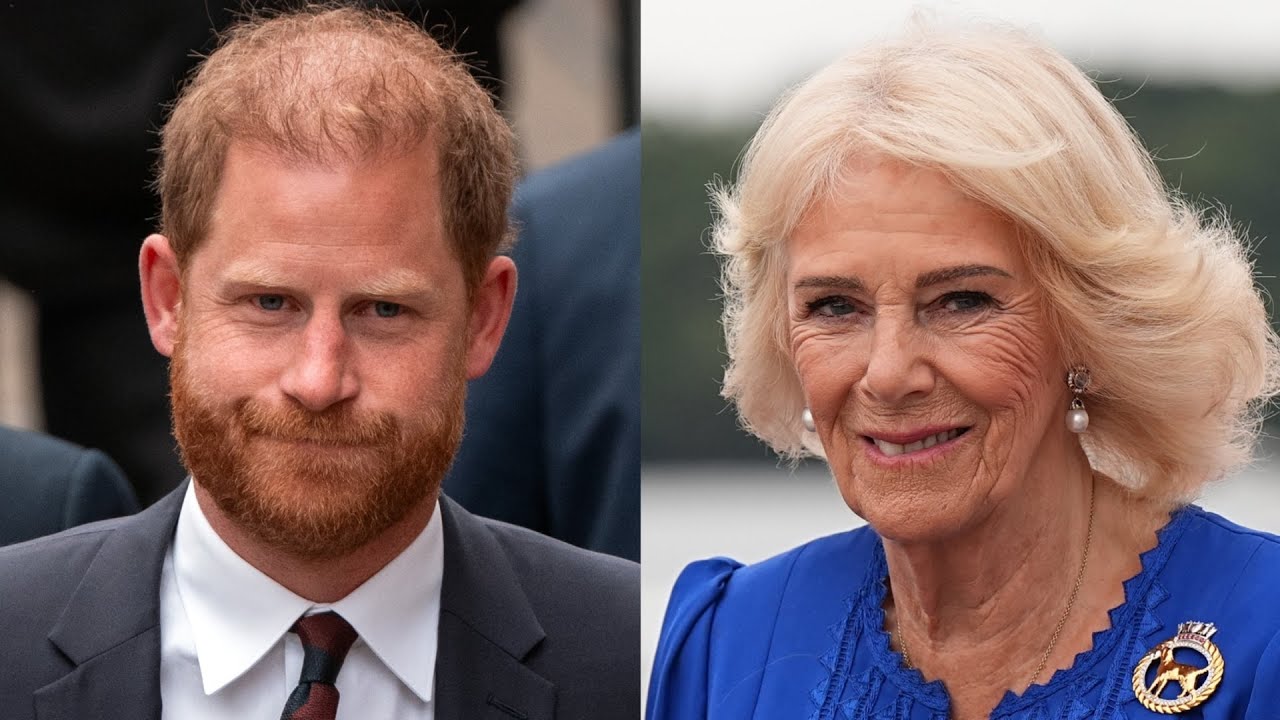 Ex-royal butler exposes Prince Harry’s lies about ‘tension’ with Camilla