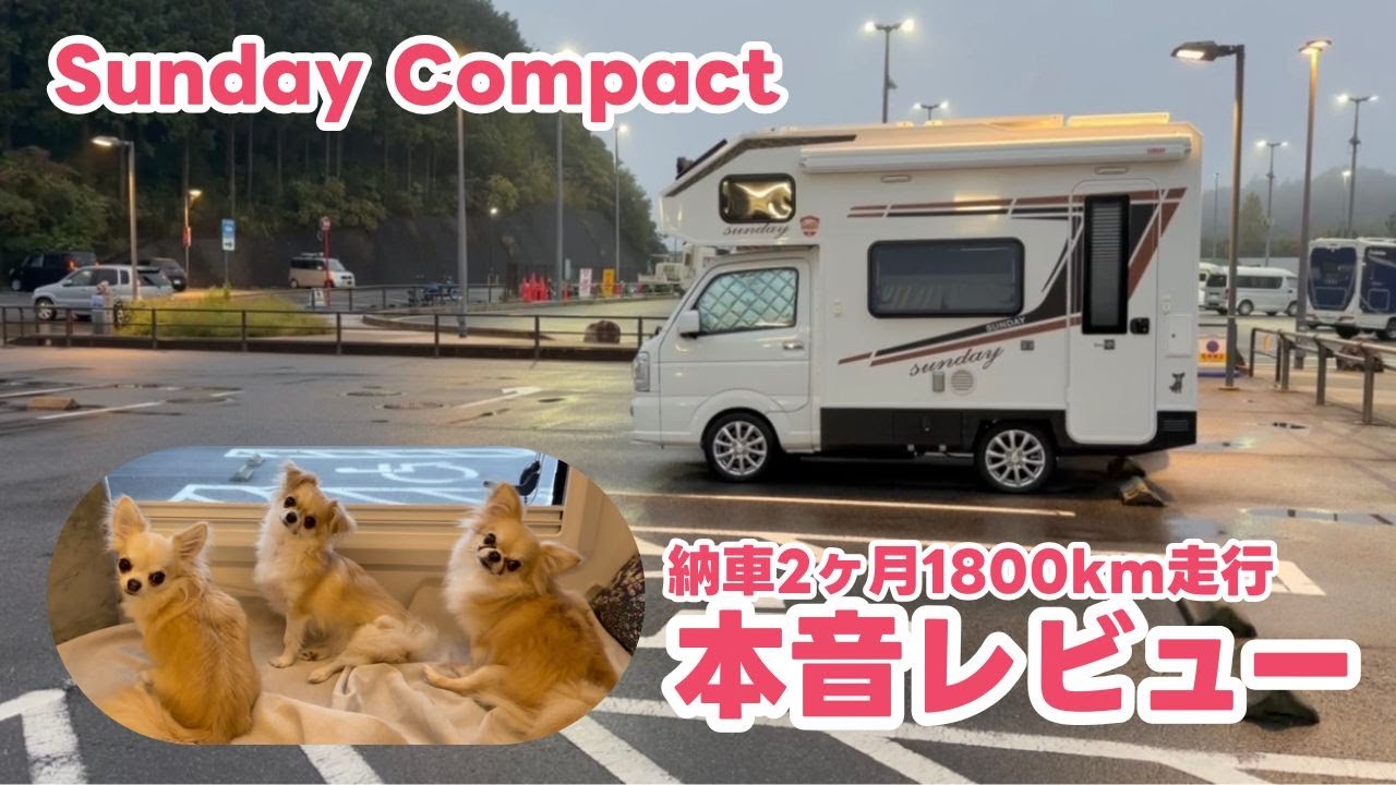 【毎日乗ってわかった】超インドア夫婦とチワワ三姉妹｜Sunday Compactの使い心地を本音トーク