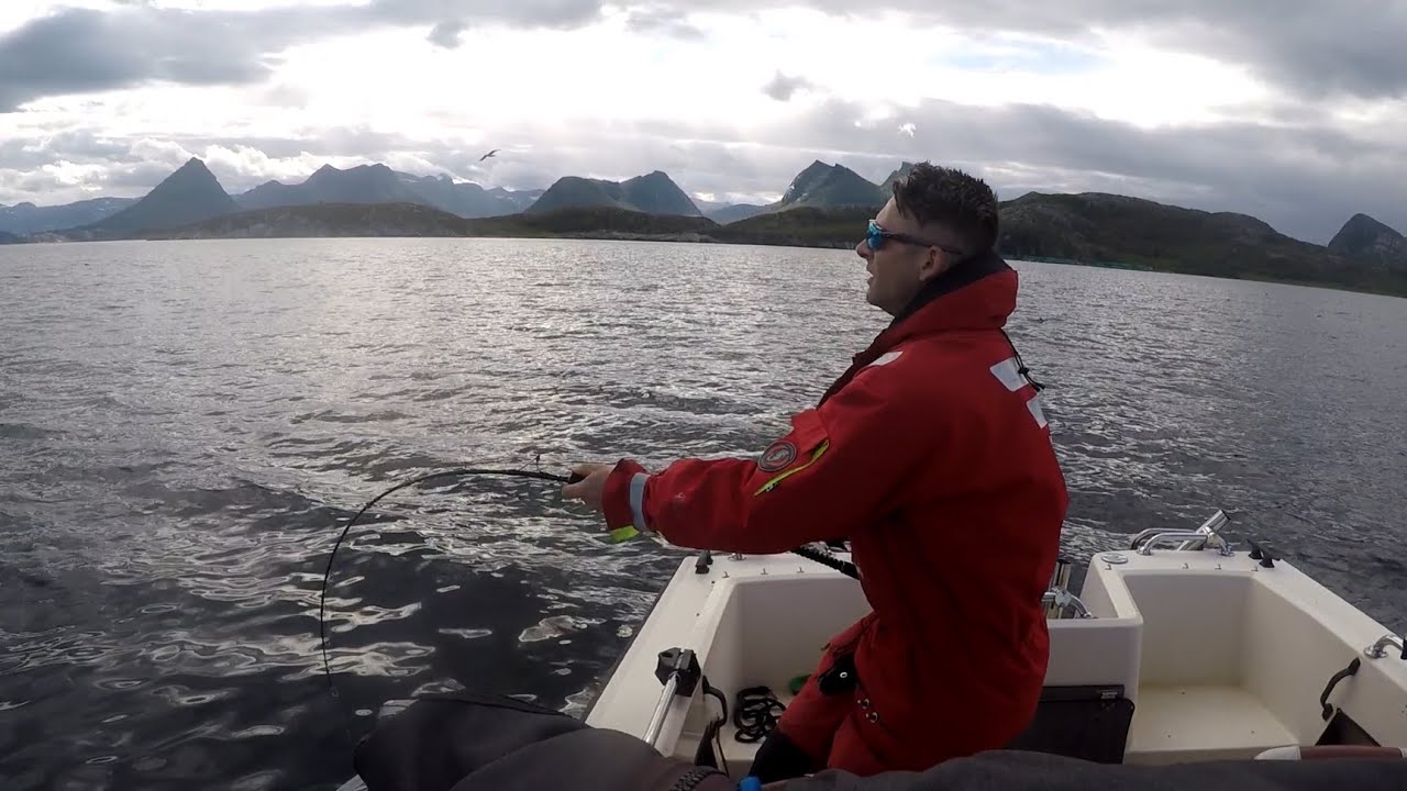 Bending the Jigstar on a big halibut (kveite) (underwater footage) Helgeland