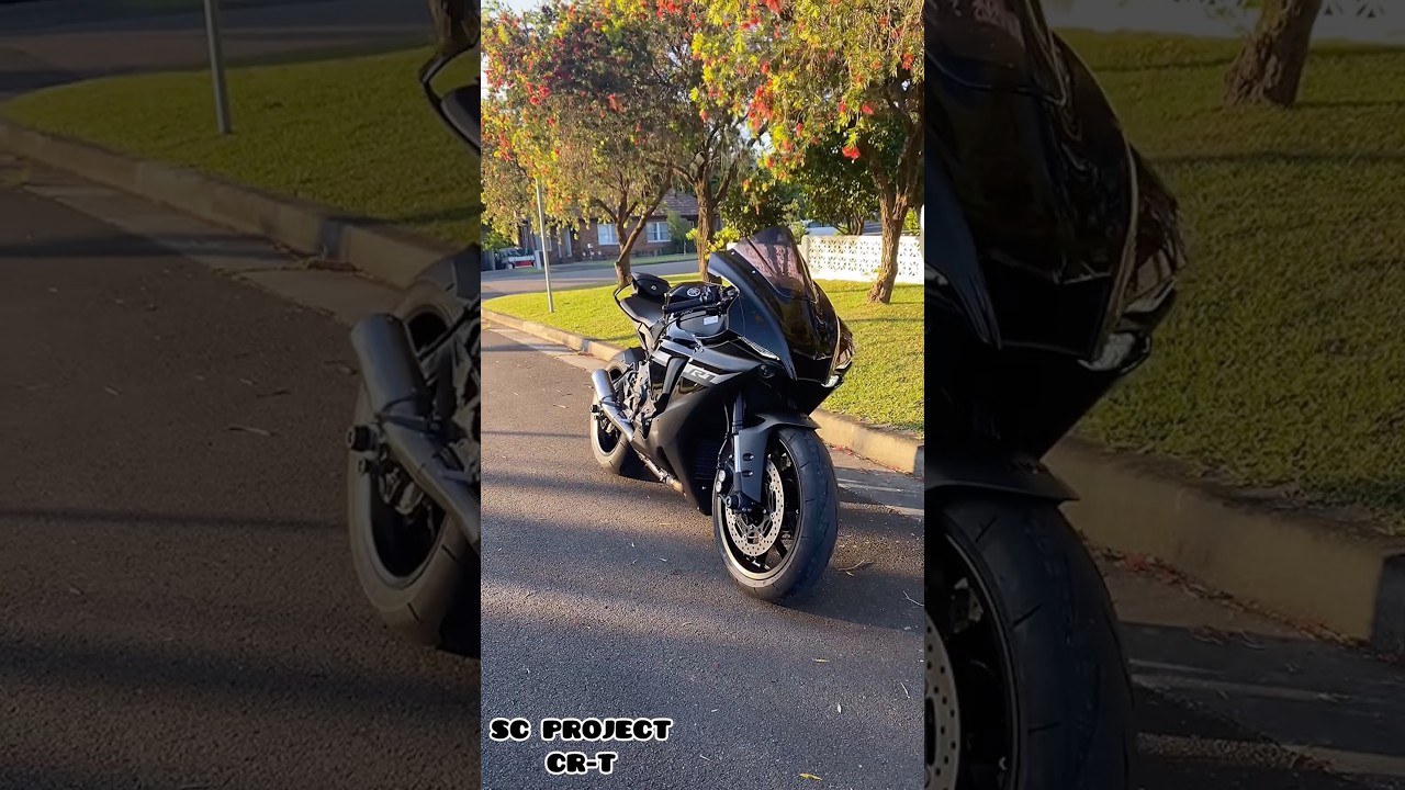R1 RN65 Cold Start Exhaust Sound Comparison | SC PROJECT CR-T vs AKRAPOVIČ #yamaha #r1 #shorts