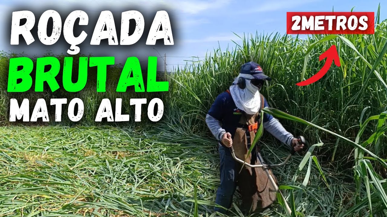 Esse Mato Alto me Deu Trabalho | Dicas de Uma Roçada BRUTAL | Dia Dia do Jardineiro
