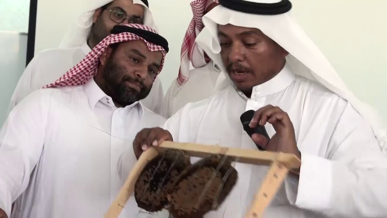 نقل النحل من الخلايا القديمة الى الخلايا الحديثة  للمدرب :هليل الفهمي