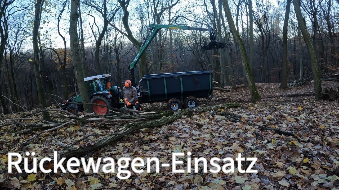 Rundholz ausfahren mit Palms H8SX K4.70 & Fendt