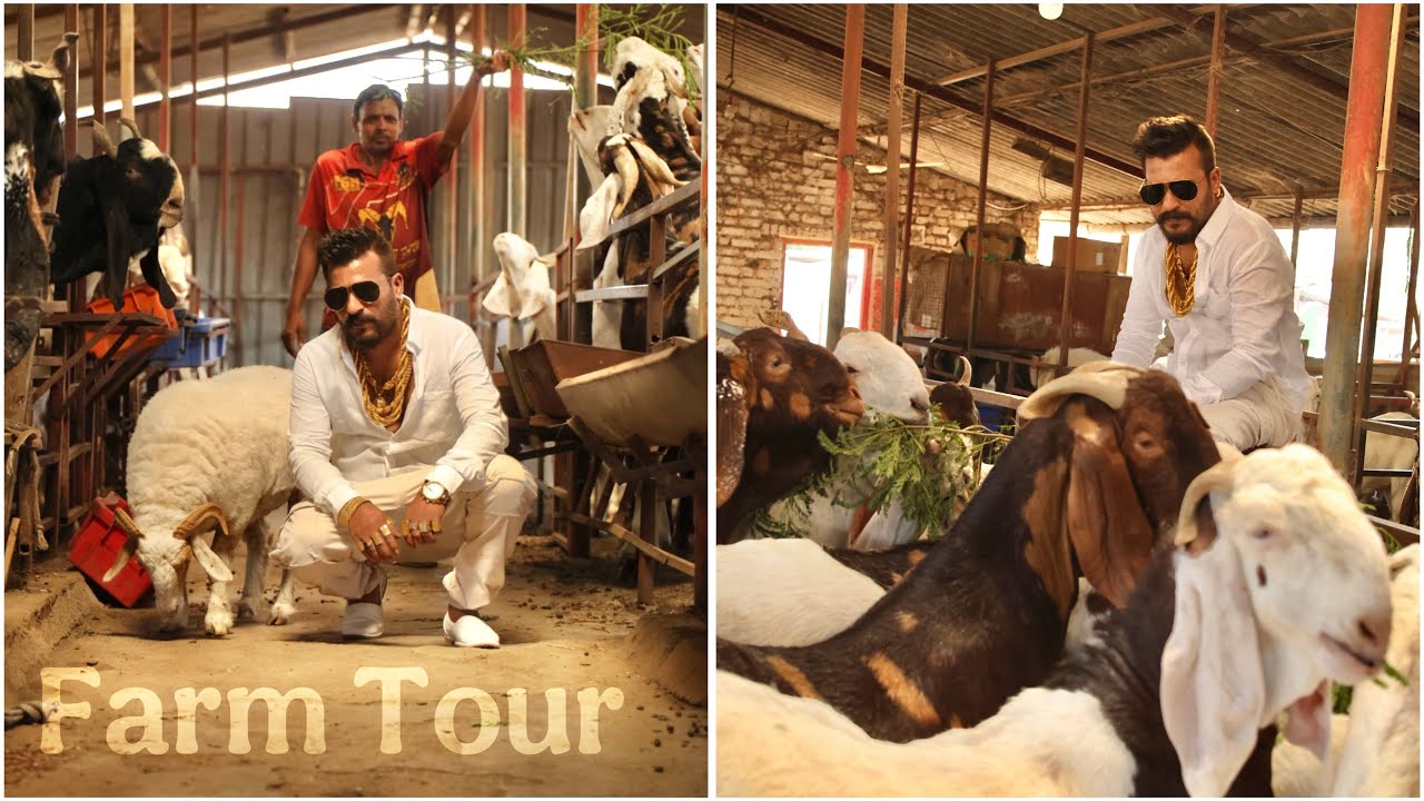 MD Goat Farm Tour by IKom Productions