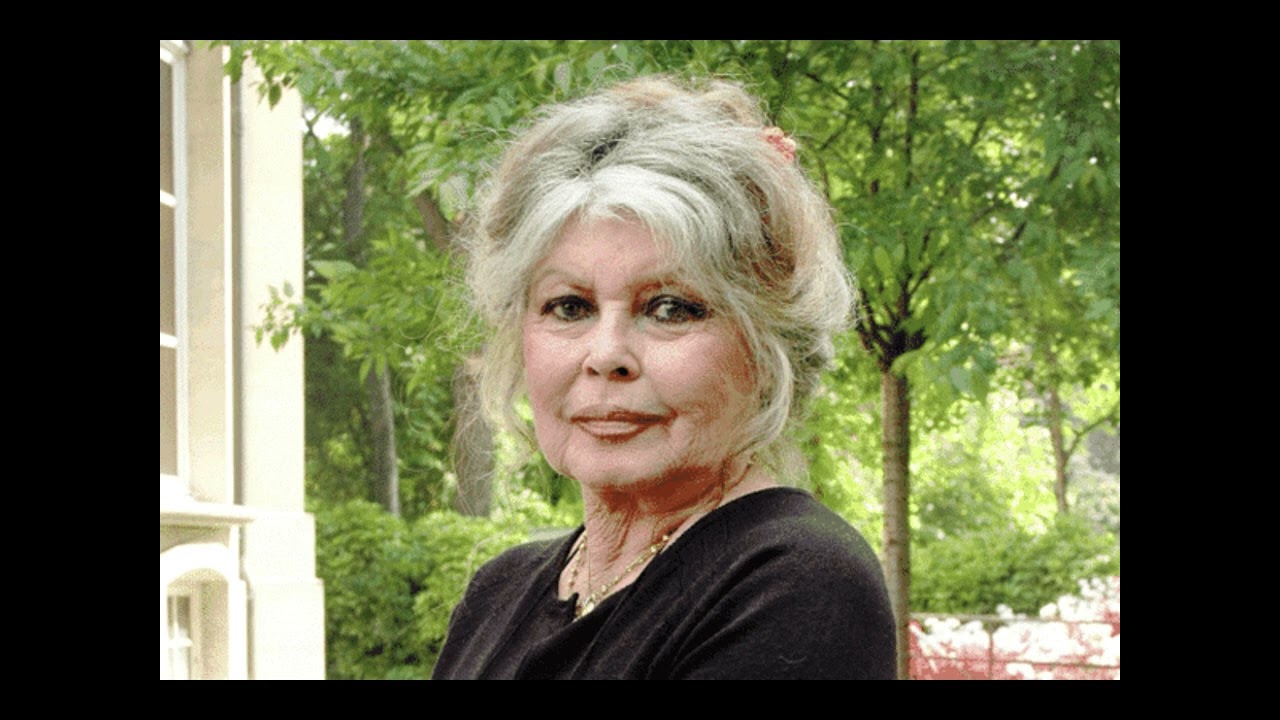 La lumière de ton combat ‐ hommage a Brigitte Bardot