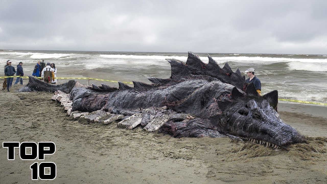 Top 10 Concerning Things Found On Japanese Beaches