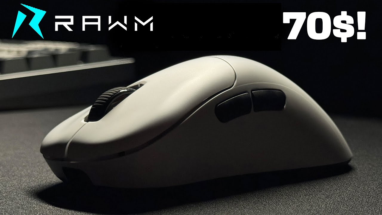The Best $70 Ergo Mouse? | Rawm ER21 Pro Review