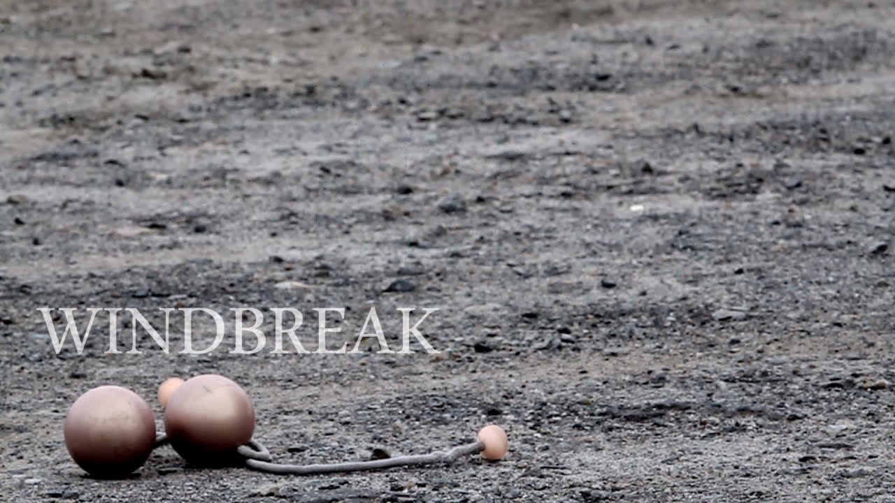 Windbreak | Timmehtek