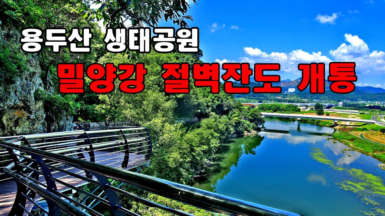 밀양 용두산 생태공원 새명소   밀양강 절벽 잔도길