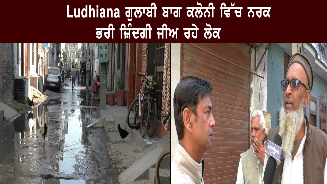 Ludhiana ਗੁਲਾਬੀ ਬਾਗ ਕਲੋਨੀ ਵਿੱਚ ਨਰਕ ਭਰੀ ਜ਼ਿੰਦਗੀ ਜੀਅ ਰਹੇ ਲੋਕ