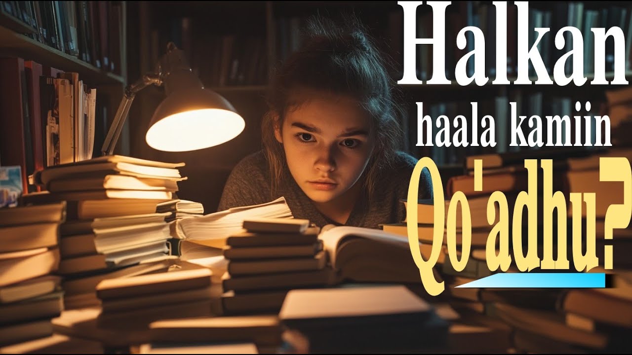 #studytips  | Barattoota halkan kaatanii dubbisuu barbaaddan hundaaf! @dirreeBarnootaa