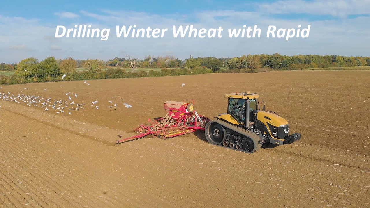 Challenger MT765B | Drilling Winter Wheat | Vaderstad Rapid 600