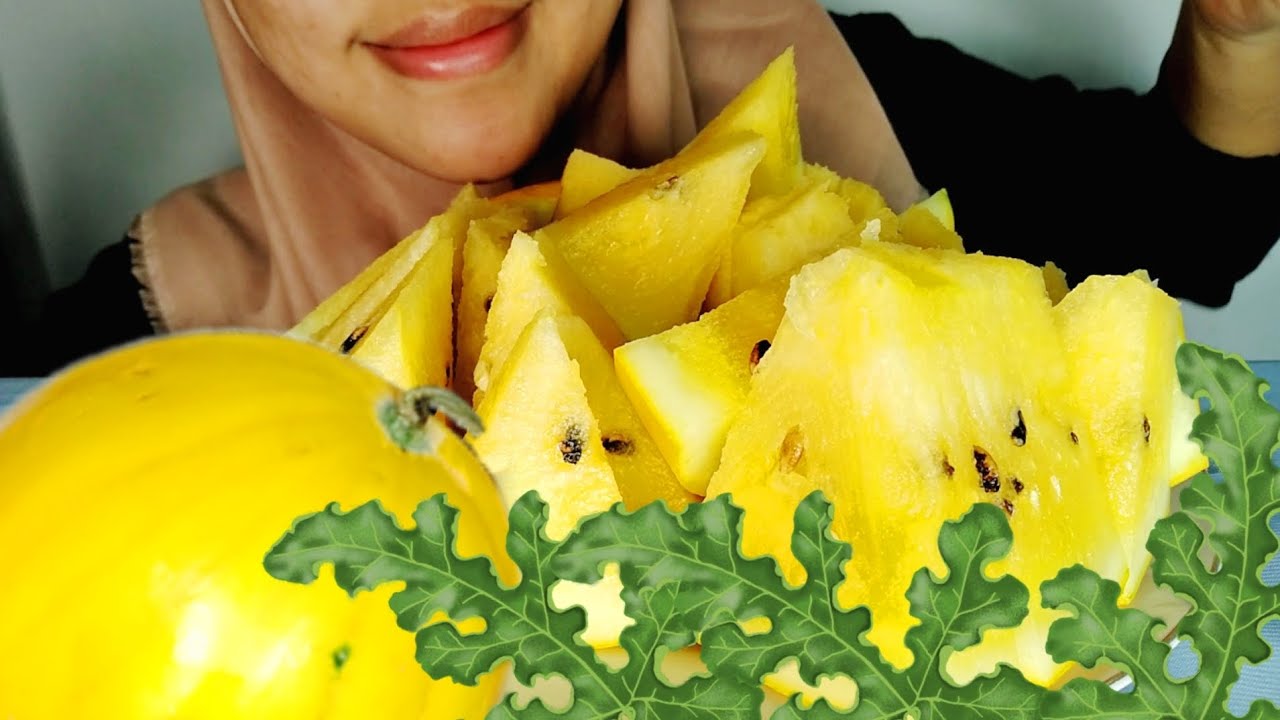bukan MUKBANG ASMR SEMANGKA KUNING MANIS SEGAR ENAK FRESH  BIKIN KENYANG