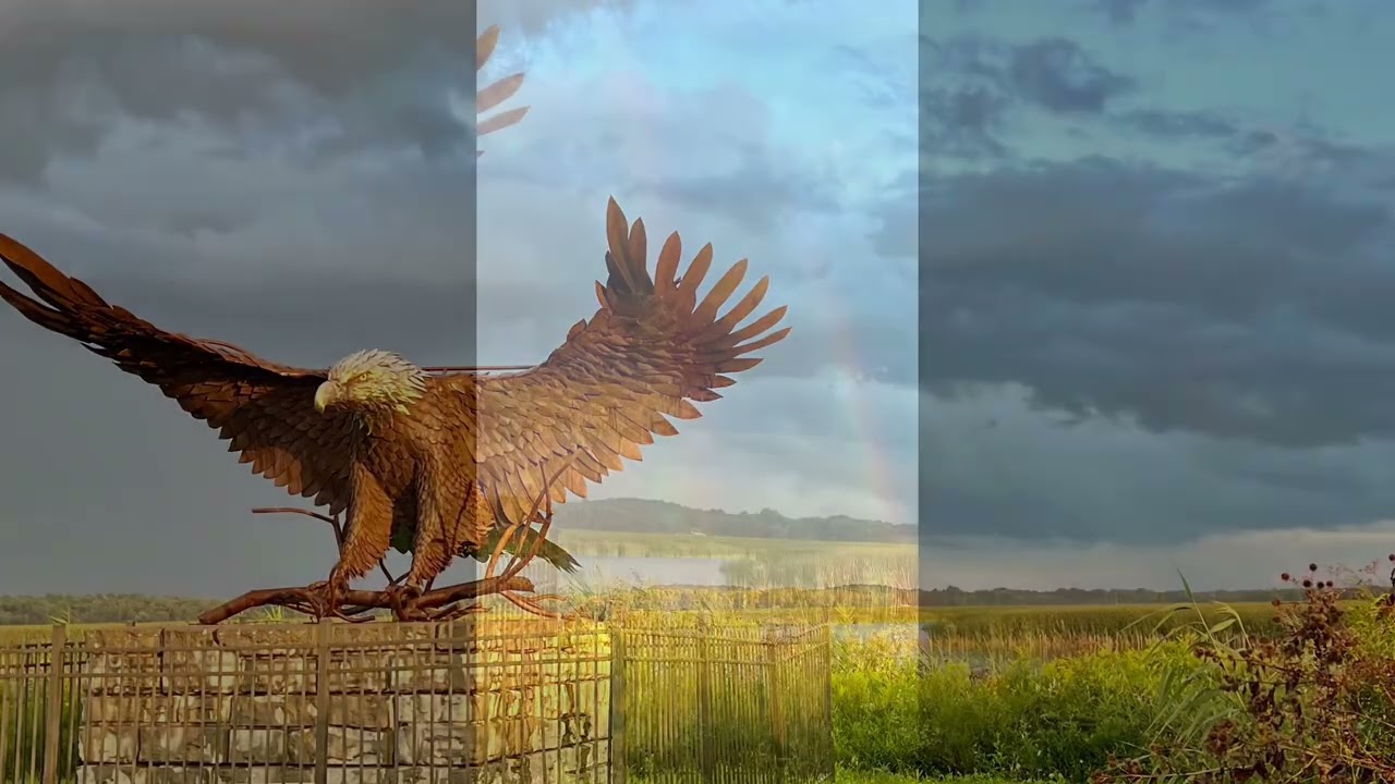 Montezuma Wildlife Refuge 8/11/24